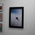 THE GATHERING - GROUP ART SHOW - VOL I  curated by H.S. and JOHNNY MATTEI